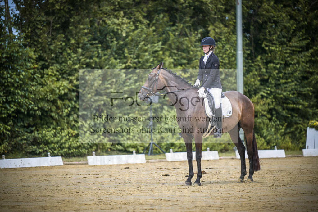 DOS_2225 | Entdecke hochwertige Reitturnierfotos von Foto Oger. Professionell, emotional und authentisch – jetzt Lieblingsmomente im Shop bestellen.Deutschlandweite Turnierfotografie. - Realisiert mit Pictrs.com