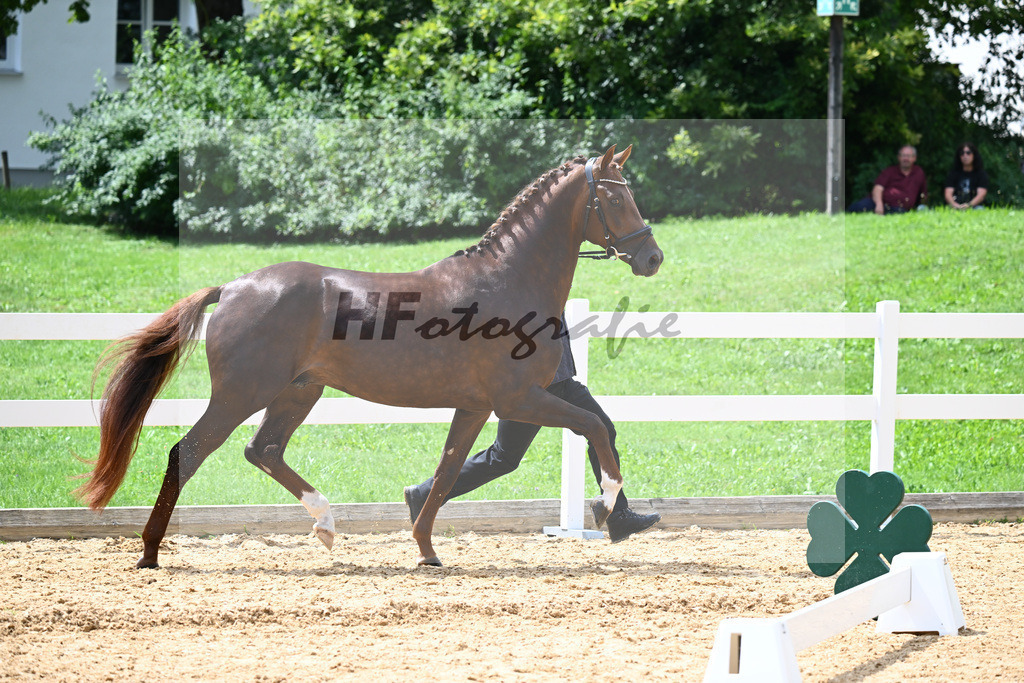 Valenziano_27140733 | hf-fotografie - Realisiert mit Pictrs.com