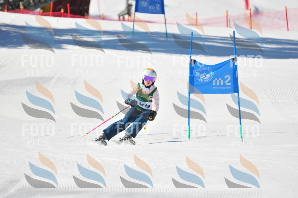 C3234 | holidayphoto