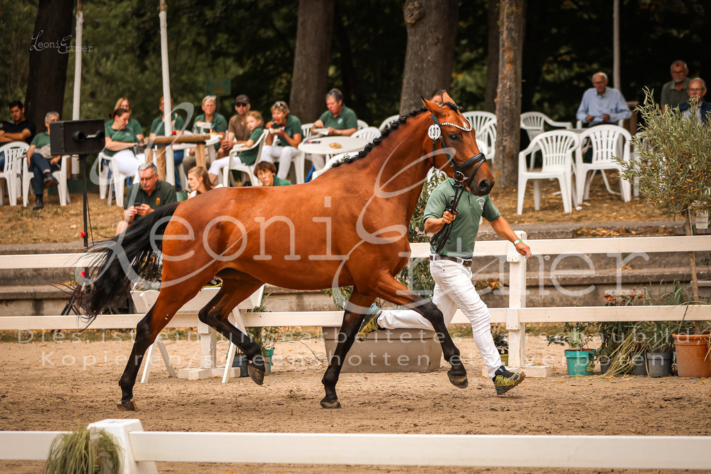 05.So00008 | Leoni Ertmer Photography - Realisiert mit Pictrs.com