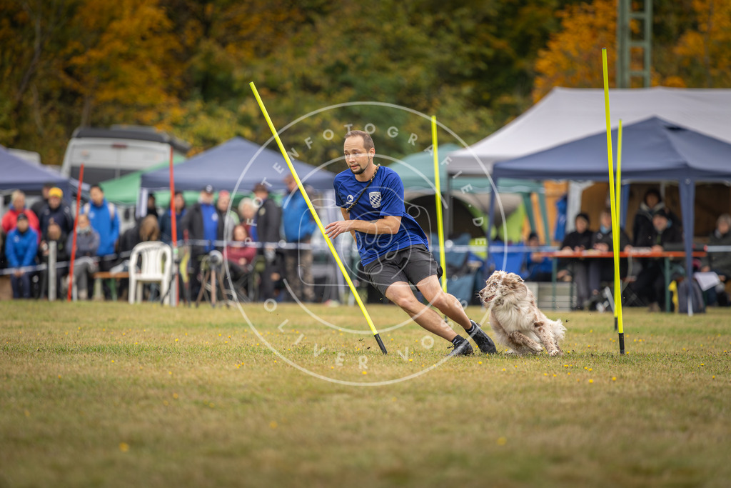 Pfotenfotografie_DV3A5446 | Hundefotografie, Tierfotograf, Pfotenfotografie, Fotoshooting Hund, Hunde Portrait, Hundesport, Hundeportraits, Heideshooting, Hunde, Sportfotograf, Hundefotograf, Turnierhundsport, THS,  - Realisiert mit Pictrs.com
