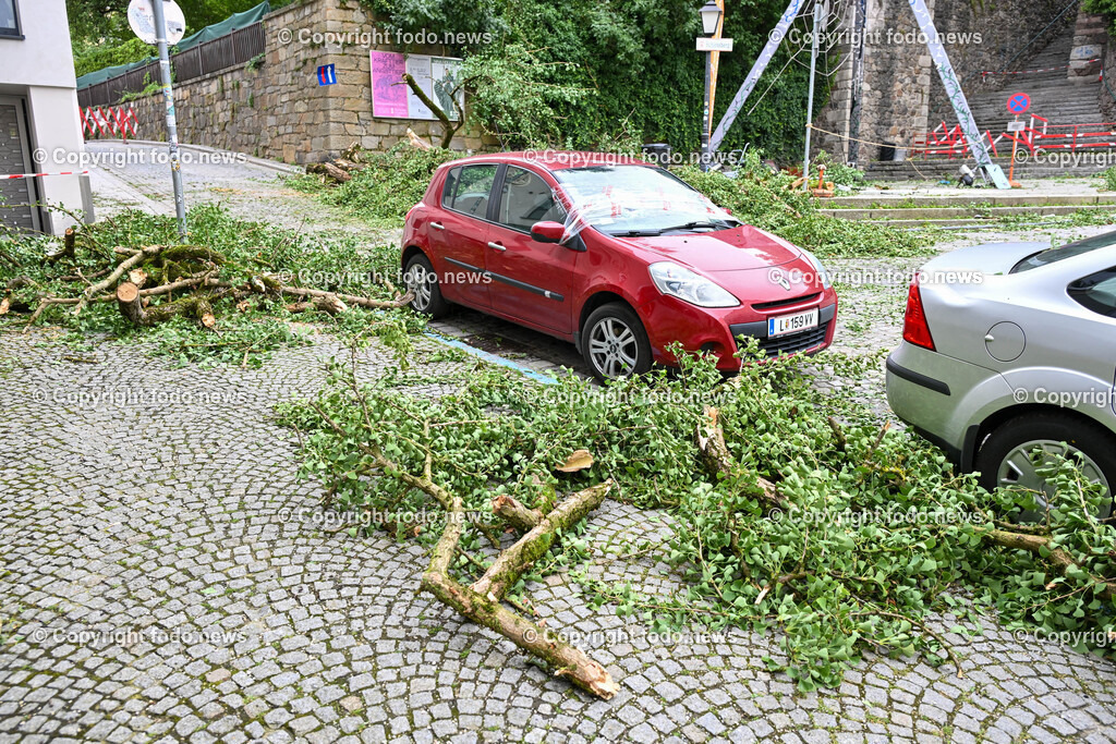 Linz_ Unwetter_ Baum_ 07.07.2024-4 | 07.07.2024, Linz, AUT, Tummelplatz, im Bild Abgebrochener Baum nach Unwetter in Linz, beschaedigtes Auto, kaputte Windschutzscheibe