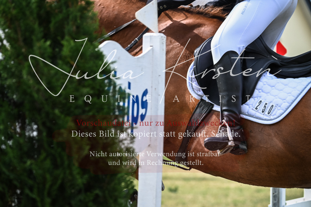 DSC_8181 | Pferde- und Turnierfotografie in Westsachsen. Pferdeportraits, Auftragszeichnungen und intuitive Kunst.