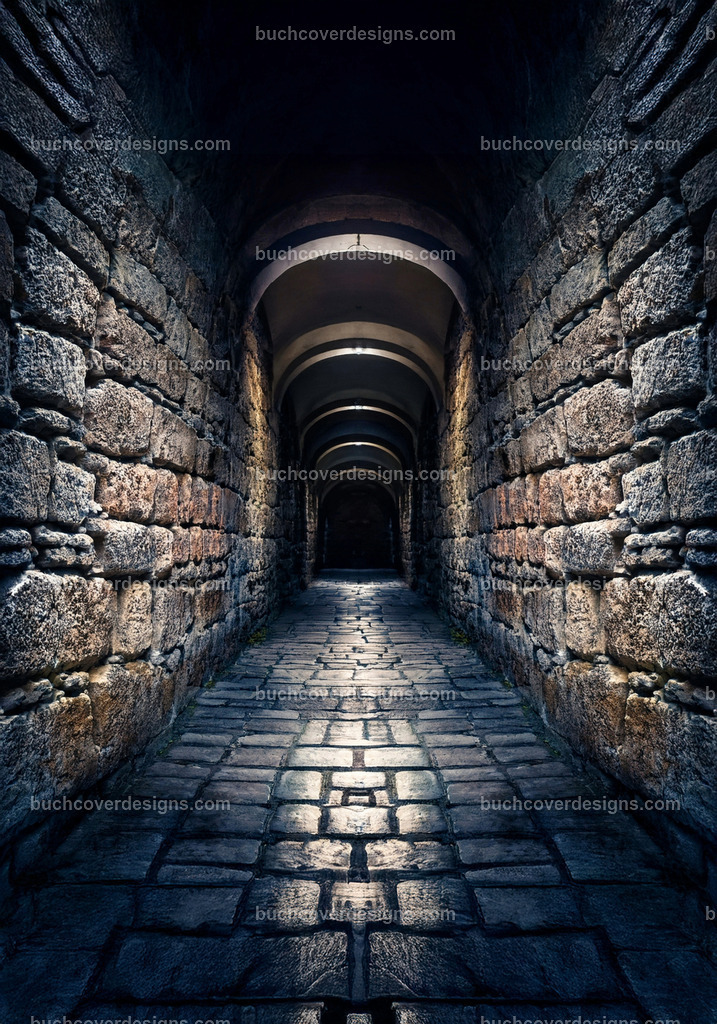 Stein Corridor altes gebäude (3) | Entdecken Sie kreative Buch Cover Designs für Self-Publishing-Autoren und Verlage! Unsere maßgeschneiderten Designs ziehen Leser an und bringen Ihre Geschichten visuell zum Leben. Lassen Sie uns Ihr perfektes Cover gestalten!