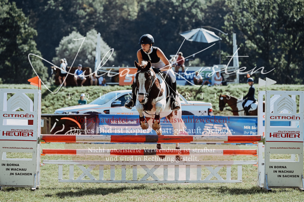 DSC_6057 | Pferde- und Turnierfotografie in Westsachsen. Pferdeportraits, Auftragszeichnungen und intuitive Kunst.