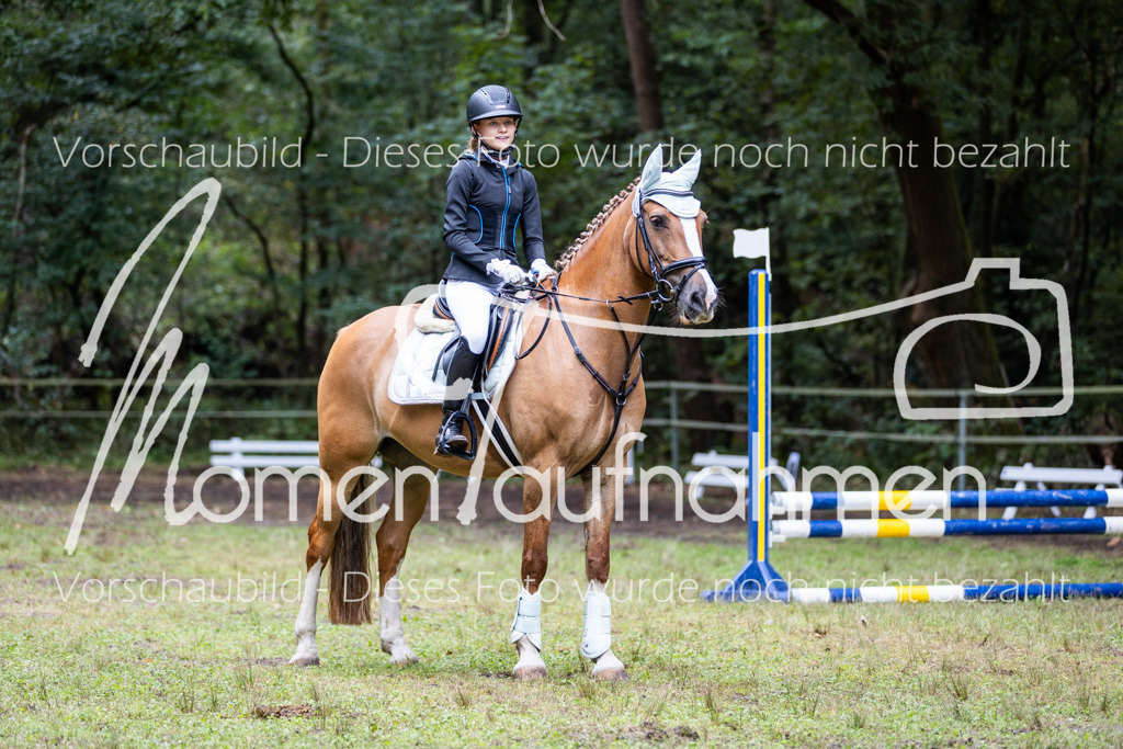 HB-Springreiter-031 | MomenTaufnahmen Pferdesportfotos