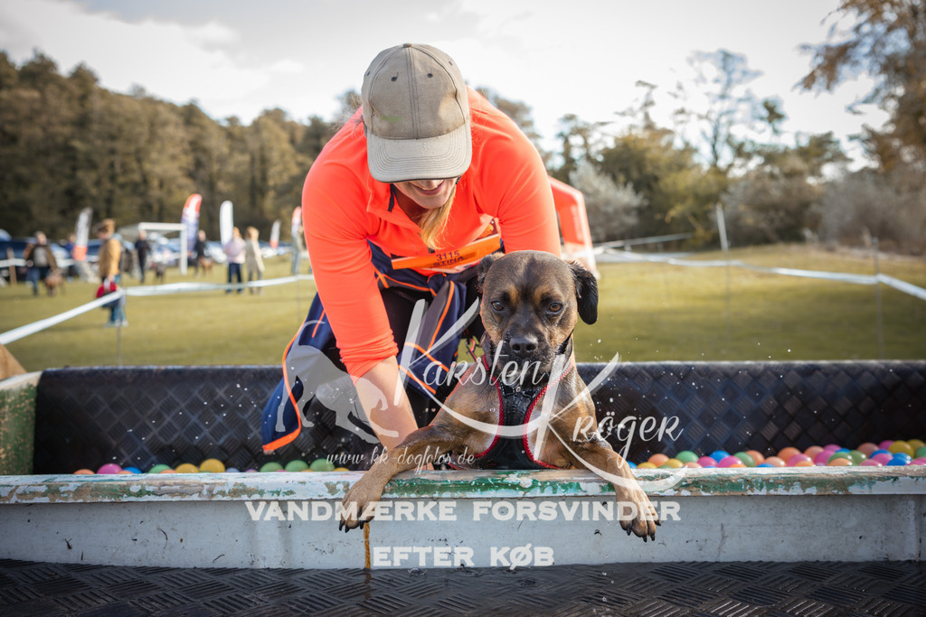 1311_ZZ99477-2 | kk-dogfotos