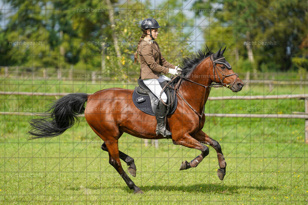 20230917-FAH09236 | Landsberg am Lech, 2023, Kaufbeuren, Kempten, Allgäu, Turnierfotografen Bayern, Fotoagentur Herrmann, Turnierbilder, Reitsport Fotos, Pferdefotograf, Augsburg, Bad Tölz, Dachau, Karlsfeld, Memmingen, Buchloe, Schwabmünchen