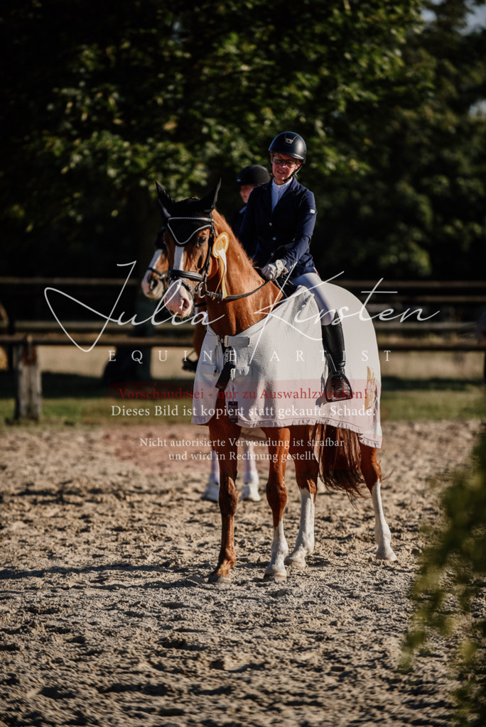 DSC_0701 | Pferde- und Turnierfotografie in Westsachsen. Pferdeportraits, Auftragszeichnungen und intuitive Kunst.