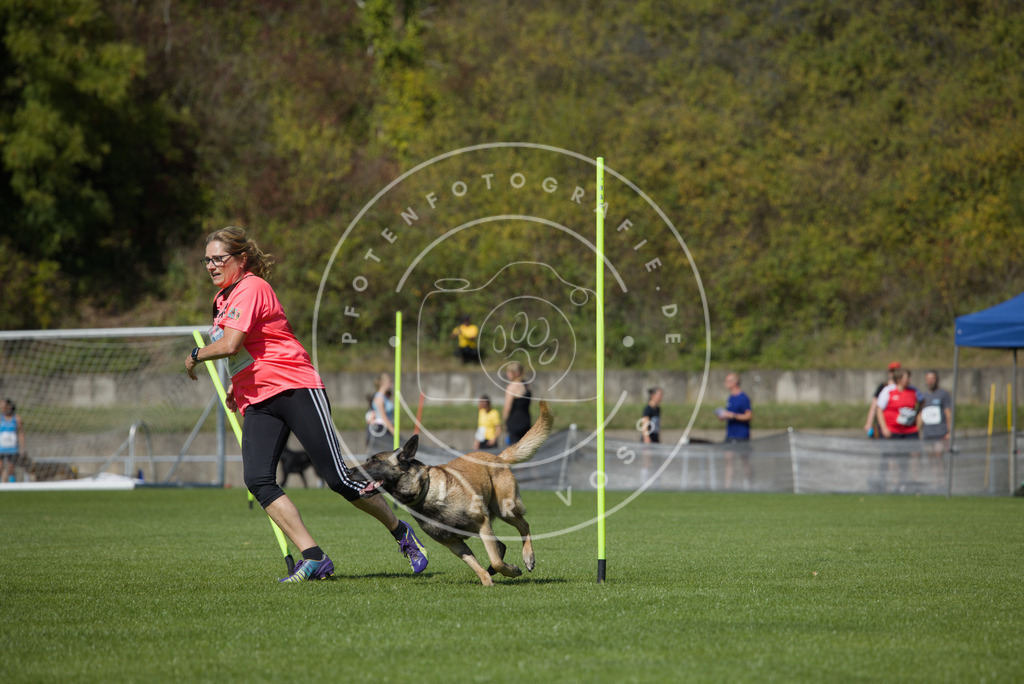 0L8A6516 | Hundefotografie, Tierfotograf, Pfotenfotografie, Fotoshooting Hund, Hunde Portrait, Hundesport, Hundeportraits, Heideshooting, Hunde, Sportfotograf, Hundefotograf, Turnierhundsport, THS,  - Realisiert mit Pictrs.com