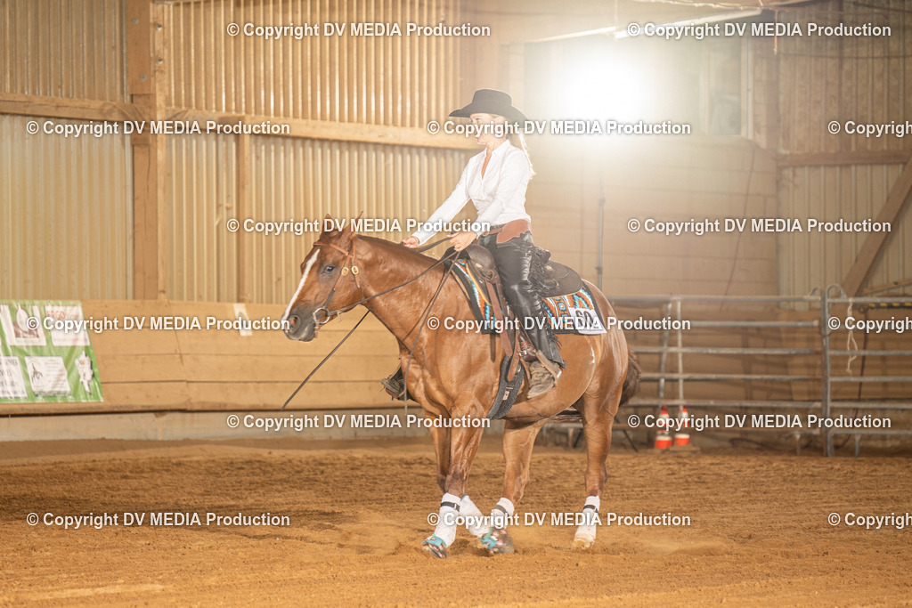 NID03975 | dv-media-shop - Realisiert mit Pictrs.com