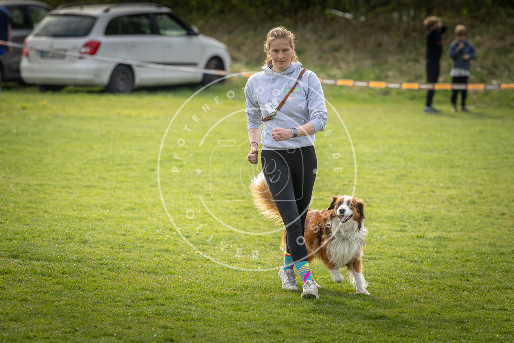 Pfotenfotografie_DV3A4957 | Hundefotografie, Tierfotograf, Pfotenfotografie, Fotoshooting Hund, Hunde Portrait, Hundesport, Hundeportraits, Heideshooting, Hunde, Sportfotograf, Hundefotograf, Turnierhundsport, THS,  - Realisiert mit Pictrs.com