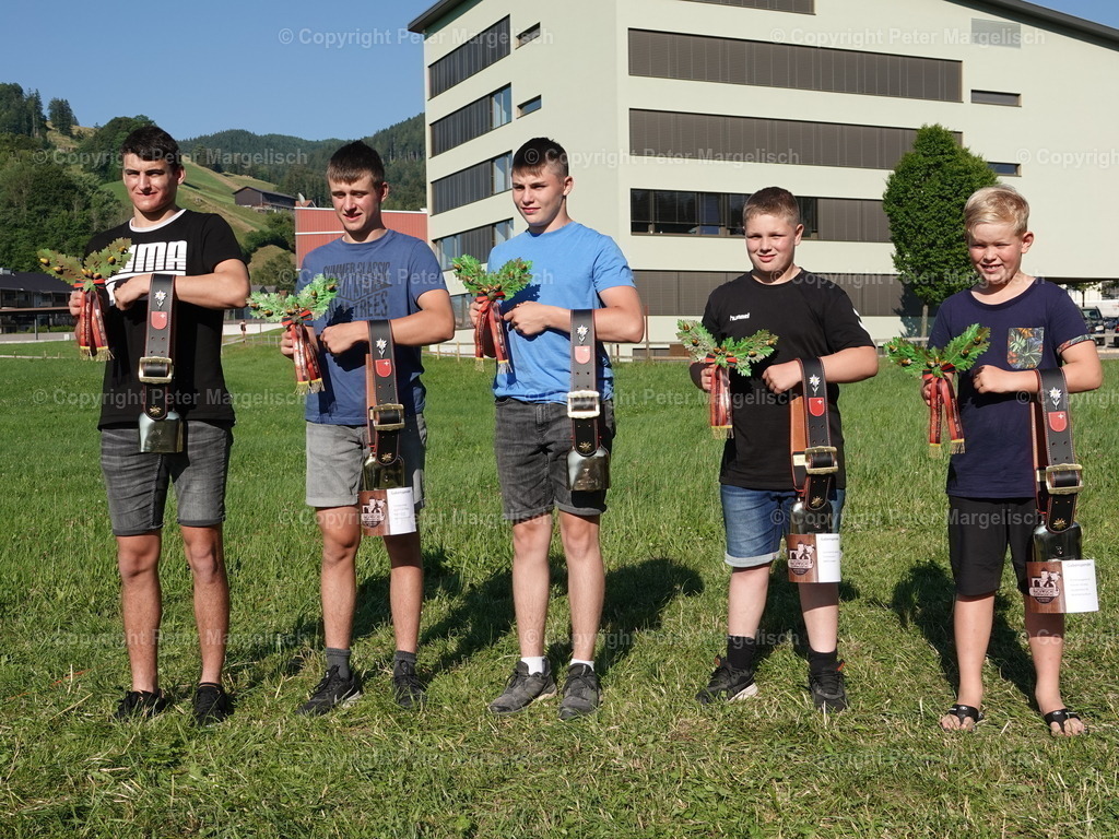 DSC04800 | Schwingen - Realisiert mit Pictrs.com