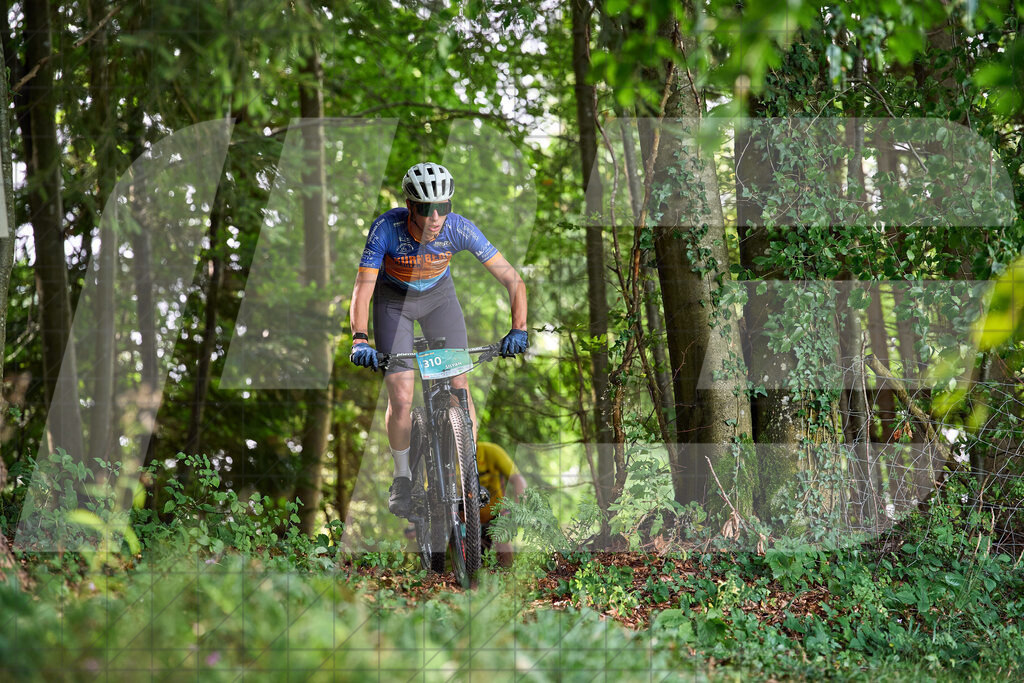 Betriebszentrum Laubenbachmühle, Frankenfels, Österreich - 13. September 2025: Dirndltal Race - Fun und Trophy RaceFotograf: Martin Bihounek / martinbihounek.com | 13. September 2025 Betriebszentrum Laubenbachmühle, Frankenfels, Österreich : Dirndltal Race - Fun und Trophy Race •••••Photo by: Martin Bihounek / martinbihounek.comInsta: @martinbihounekcom