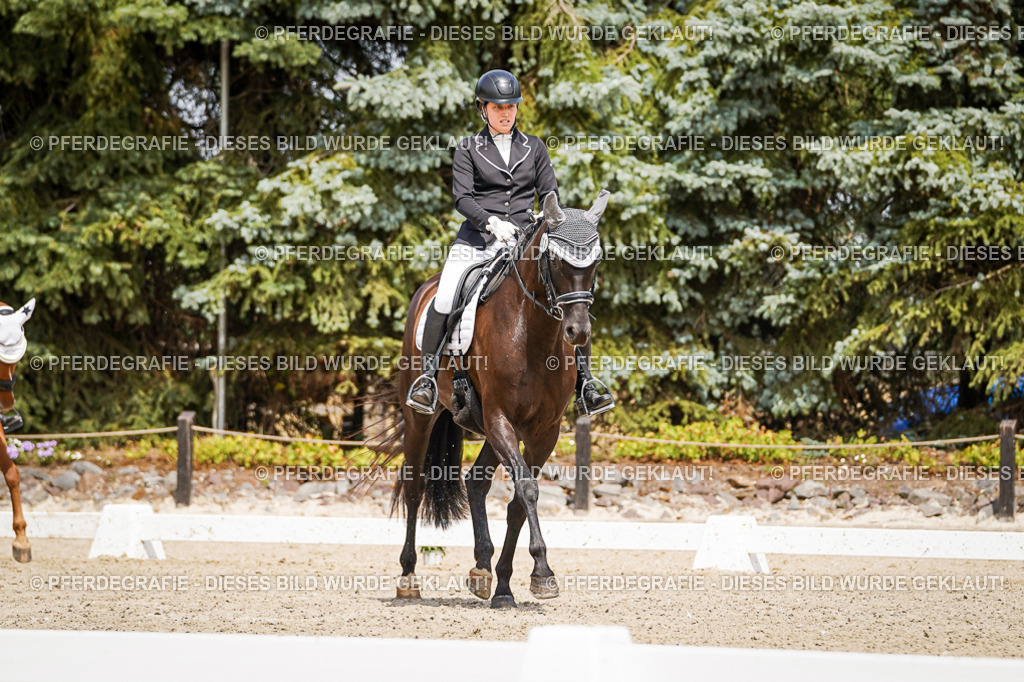 DSC03124 | Pferdegrafie