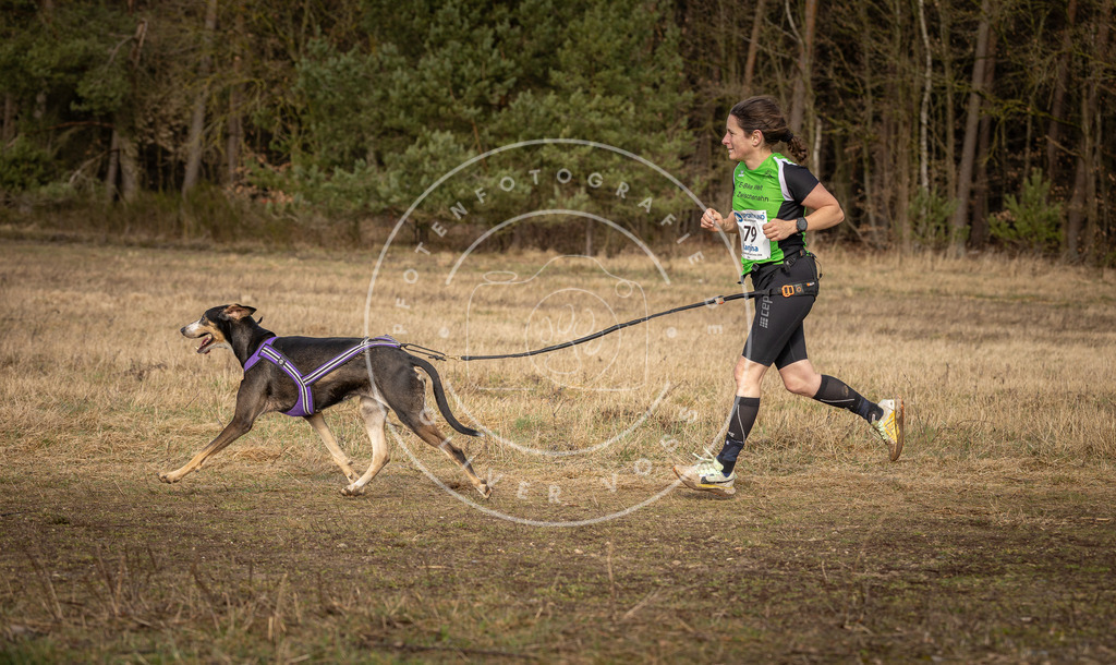 DV3A3778 | Hundefotografie, Tierfotograf, Pfotenfotografie, Fotoshooting Hund, Hunde Portrait, Hundesport, Hundeportraits, Heideshooting, Hunde, Sportfotograf, Hundefotograf, Turnierhundsport, THS,  - Realisiert mit Pictrs.com