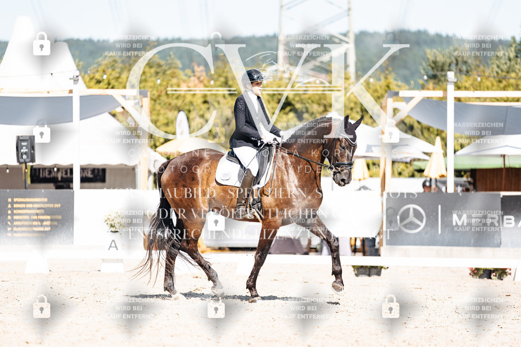 CK908523 | Turnierfotografie Pferdefotografie Trier Rheinland-Pfalz Pferdesport Reitsport Tierfotografie Sportfotografie Pferdevideo Pferdevideografie Equestrianvideography equestrianphotography  - Realisiert mit Pictrs.com