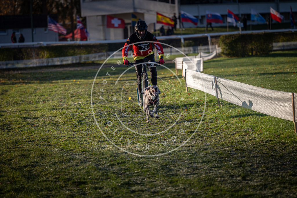 CaniXpix_0L8A2973 | Hundefotografie, Tierfotograf, Pfotenfotografie, Fotoshooting Hund, Hunde Portrait, Hundesport, Hundeportraits, Heideshooting, Hunde, Sportfotograf, Hundefotograf, Turnierhundsport, THS,  - Realisiert mit Pictrs.com