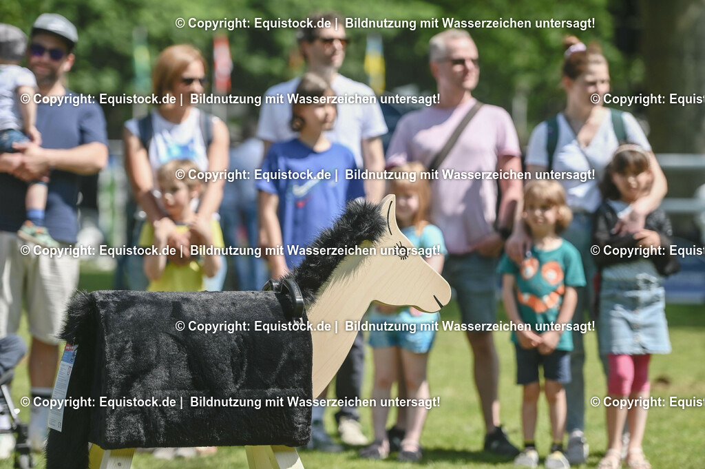 D78_3588 | equistock