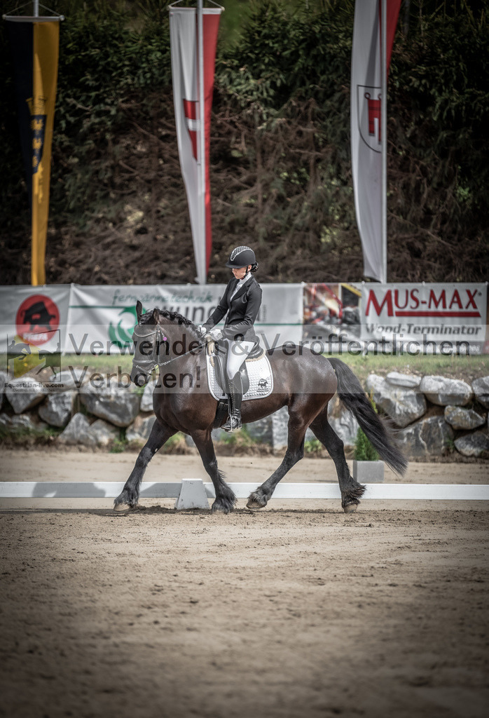 DSC_9168 | equestrian-live-com