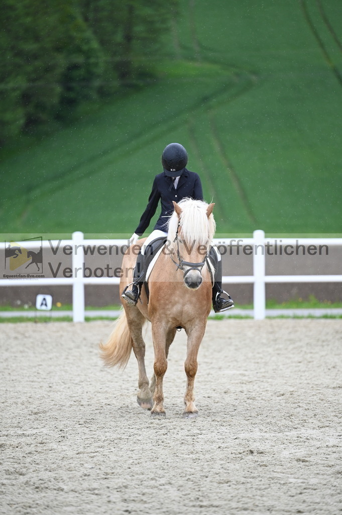 DSC_0146 | equestrian-live-com