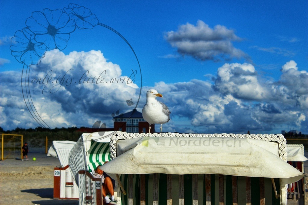 IMG_6789-01 | only.this.little.world - Realisiert mit Pictrs.com