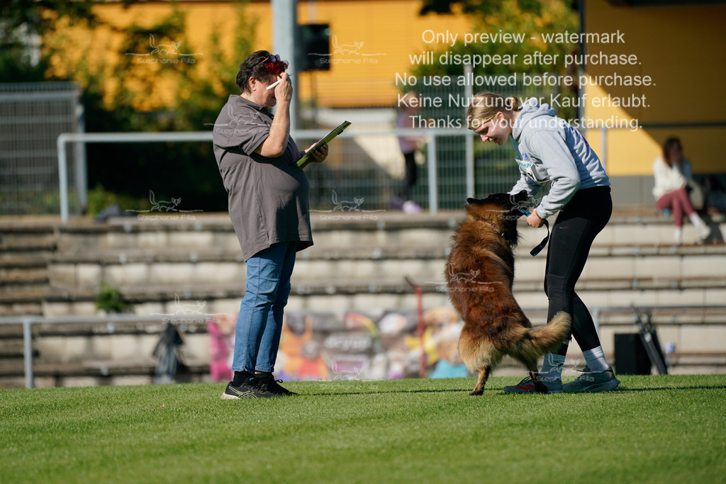 Samstag_Gehorsam_V2 (87) | stephaniefillaphotographie - Realisiert mit Pictrs.com