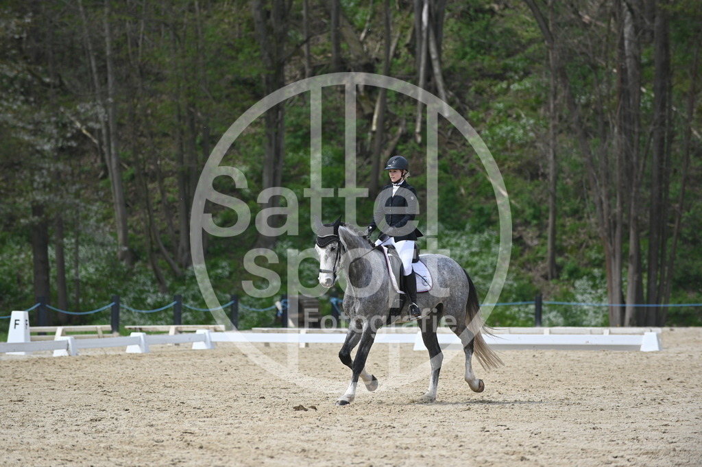 DSC_3532 | sattelsport - Realisiert mit Pictrs.com