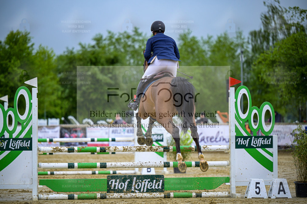 Reitturnier Lienen | Entdecke hochwertige Reitturnierfotos von Foto Oger. Professionell, emotional und authentisch – jetzt Lieblingsmomente im Shop bestellen. - Realisiert mit Pictrs.com
