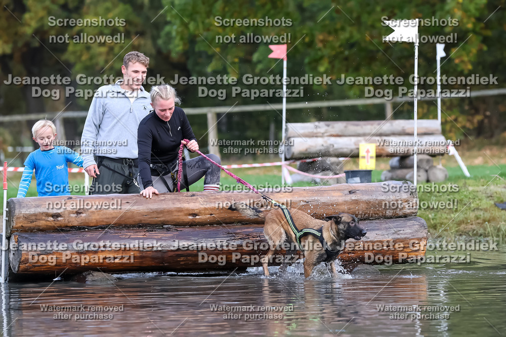 Dog Paparazzi - Strongdog 10-25-6857 | Dog Paparazzi Jeanette Grottendiek Fotografie & Videografie - Realisiert mit Pictrs.com
