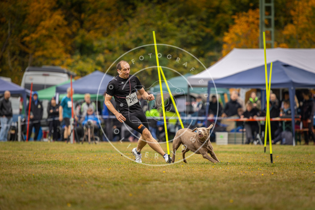 Pfotenfotografie_DV3A2287 | Hundefotografie, Tierfotograf, Pfotenfotografie, Fotoshooting Hund, Hunde Portrait, Hundesport, Hundeportraits, Heideshooting, Hunde, Sportfotograf, Hundefotograf, Turnierhundsport, THS,  - Realisiert mit Pictrs.com