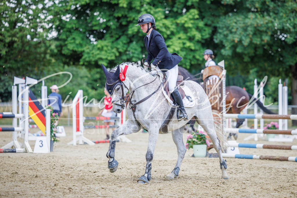 20260705-_3LI4829 | Tierfotografie Pferde, Hunde, Katzen, Haustiere.
Turnierfotografie Reitturniere, Reiten, Springreiten, Dressur in Hanau, dem Main-Kinzig-Kreis und dem Rhein-Main- Gebiet um Frankfurt