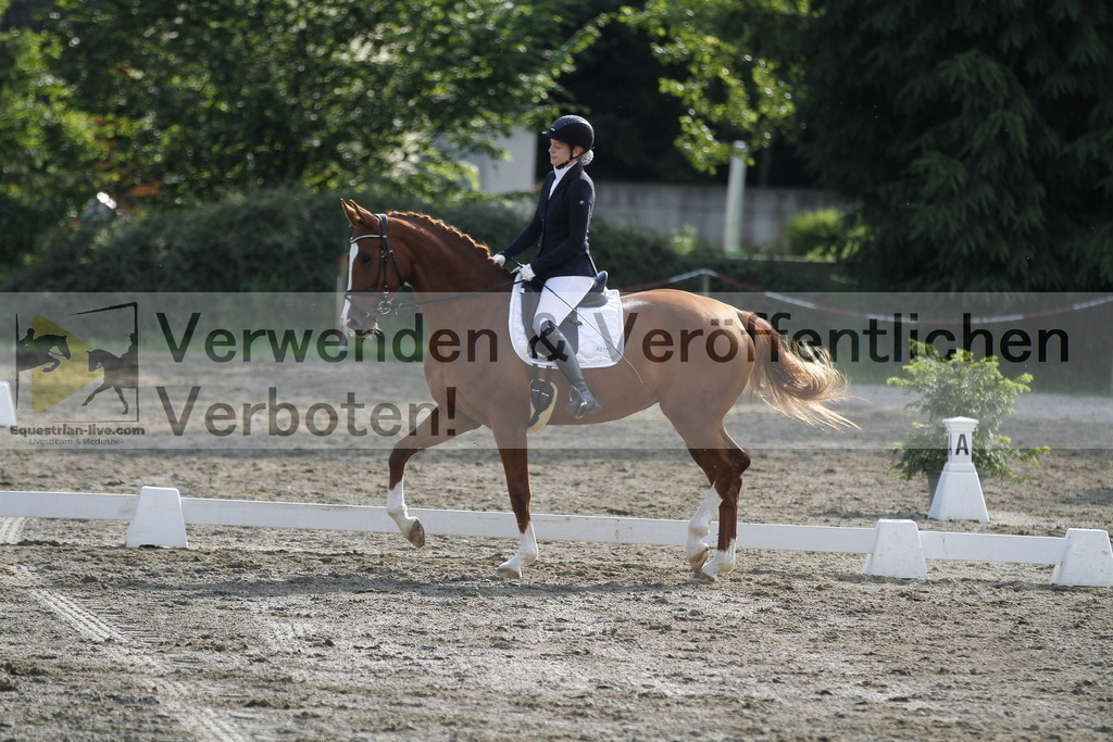 _MG_2401 | equestrian-live-com