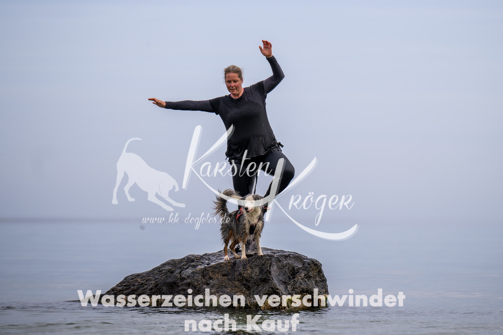 1229_ZZ91979 | kk-dogfotos