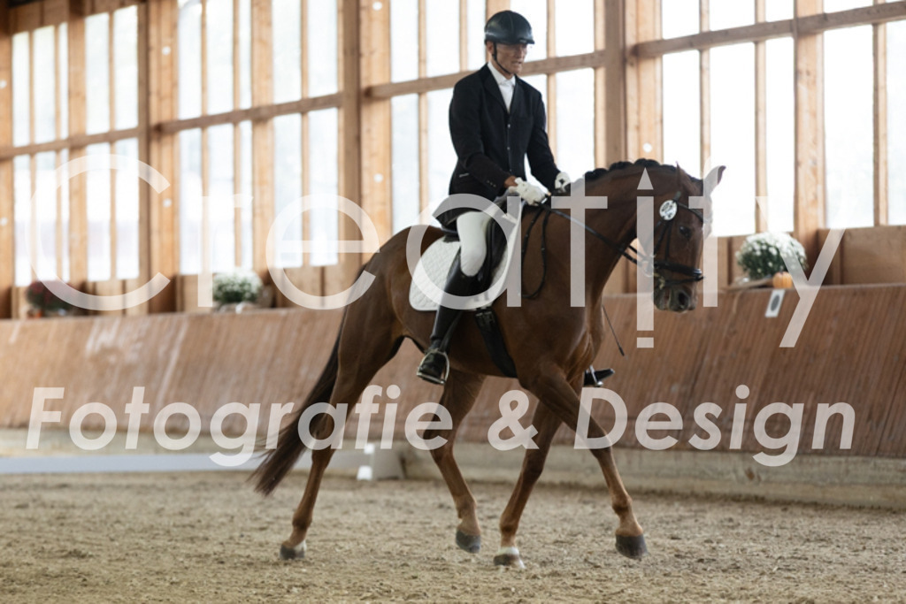 IMG_2568 | Creatify Fotografie