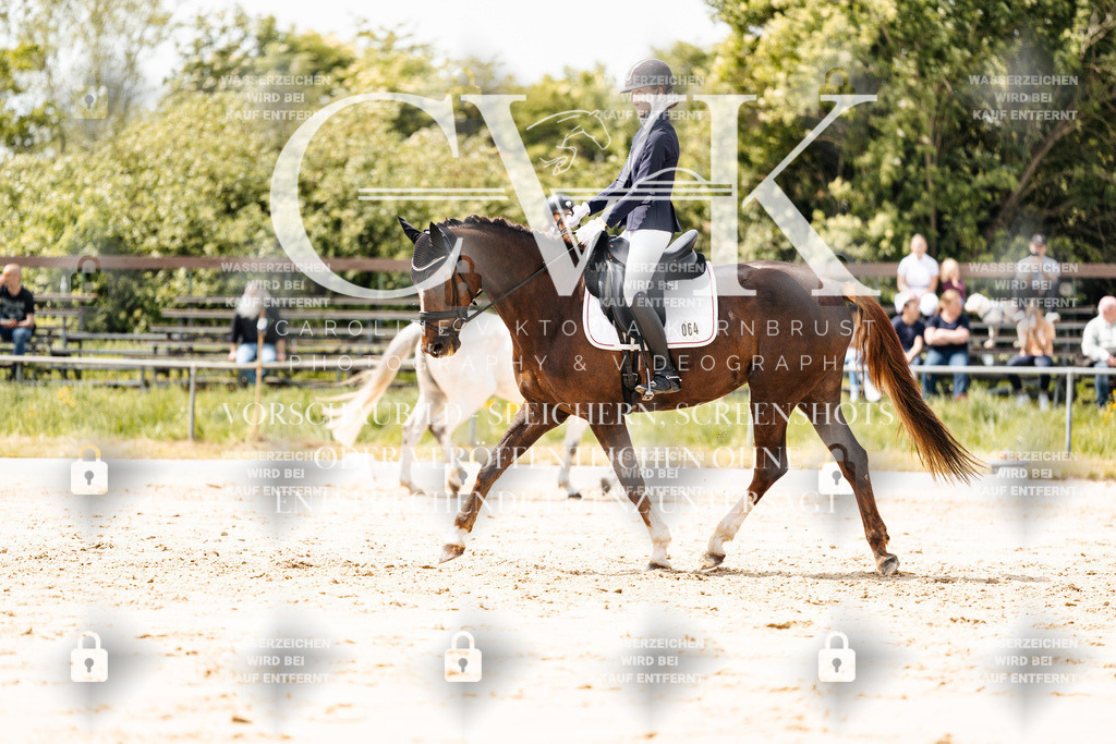 CK902048 | Turnierfotografie Pferdefotografie Trier Rheinland-Pfalz Pferdesport Reitsport Tierfotografie Sportfotografie Pferdevideo Pferdevideografie Equestrianvideography equestrianphotography  - Realisiert mit Pictrs.com