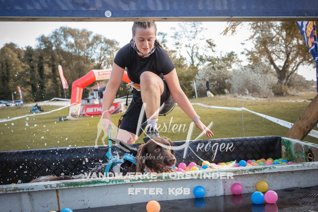 1303_ZZ99042-2 | kk-dogfotos