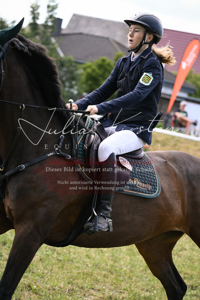 DSC_0616 | Pferde- und Turnierfotografie in Westsachsen. Pferdeportraits, Auftragszeichnungen und intuitive Kunst.