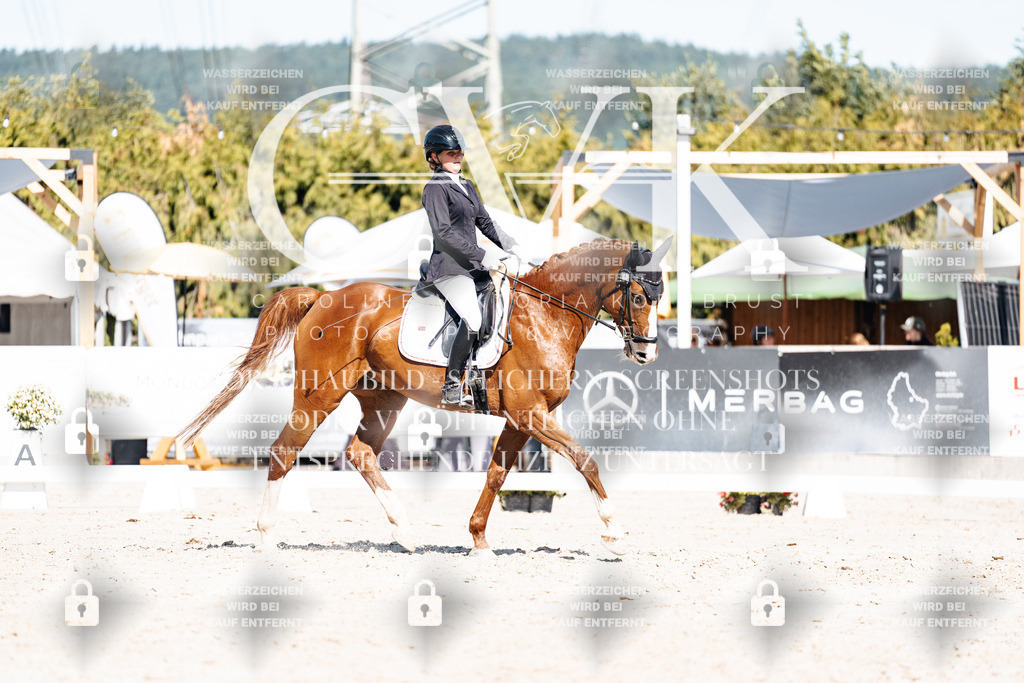 CK908795 | Turnierfotografie Pferdefotografie Trier Rheinland-Pfalz Pferdesport Reitsport Tierfotografie Sportfotografie Pferdevideo Pferdevideografie Equestrianvideography equestrianphotography  - Realisiert mit Pictrs.com
