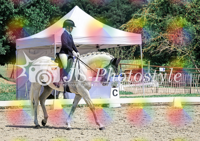 20250726_Dressurreiterprfg_Kl.L-380 | JS-Photostyle - Sport-/Portrait- & Eventfotografie