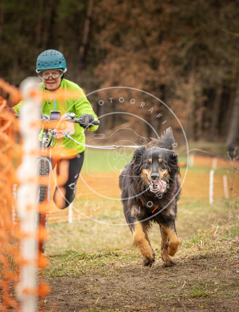DV3A1654 | Hundefotografie, Tierfotograf, Pfotenfotografie, Fotoshooting Hund, Hunde Portrait, Hundesport, Hundeportraits, Heideshooting, Hunde, Sportfotograf, Hundefotograf, Turnierhundsport, THS,  - Realisiert mit Pictrs.com