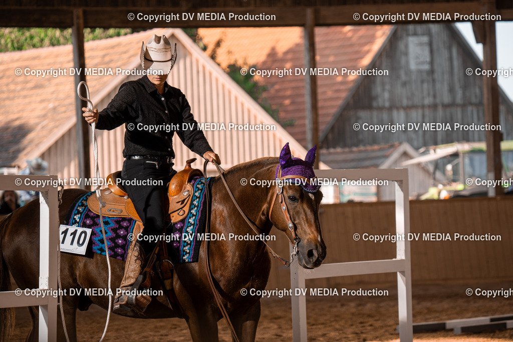 NE101272 | dv-media-shop - Realisiert mit Pictrs.com