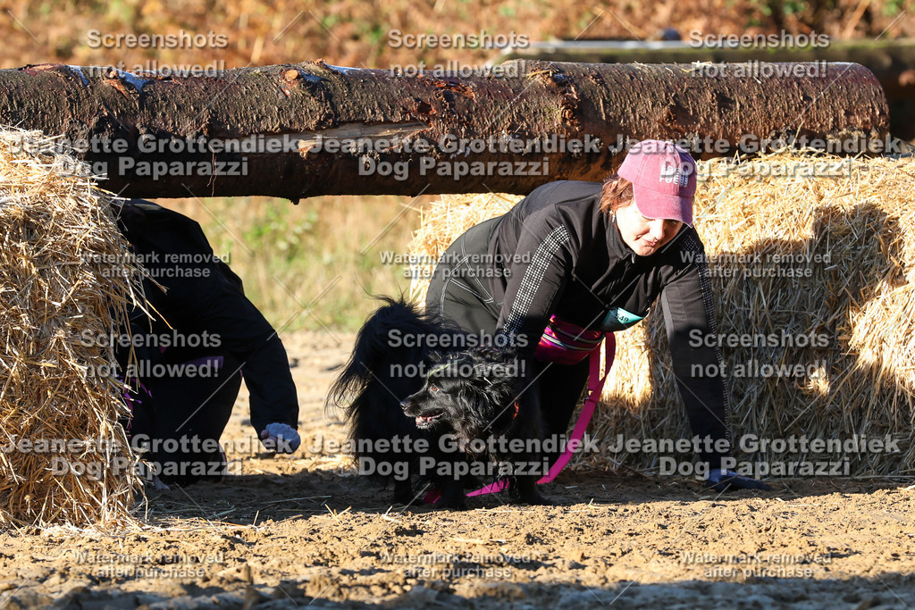 Dog Paparazzi - Strongdog 10-25-1001 | Dog Paparazzi Jeanette Grottendiek Fotografie & Videografie - Realisiert mit Pictrs.com