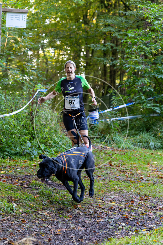 Pfotenfotografie_DV3A7855 | Hundefotografie, Tierfotograf, Pfotenfotografie, Fotoshooting Hund, Hunde Portrait, Hundesport, Hundeportraits, Heideshooting, Hunde, Sportfotograf, Hundefotograf, Turnierhundsport, THS,  - Realisiert mit Pictrs.com