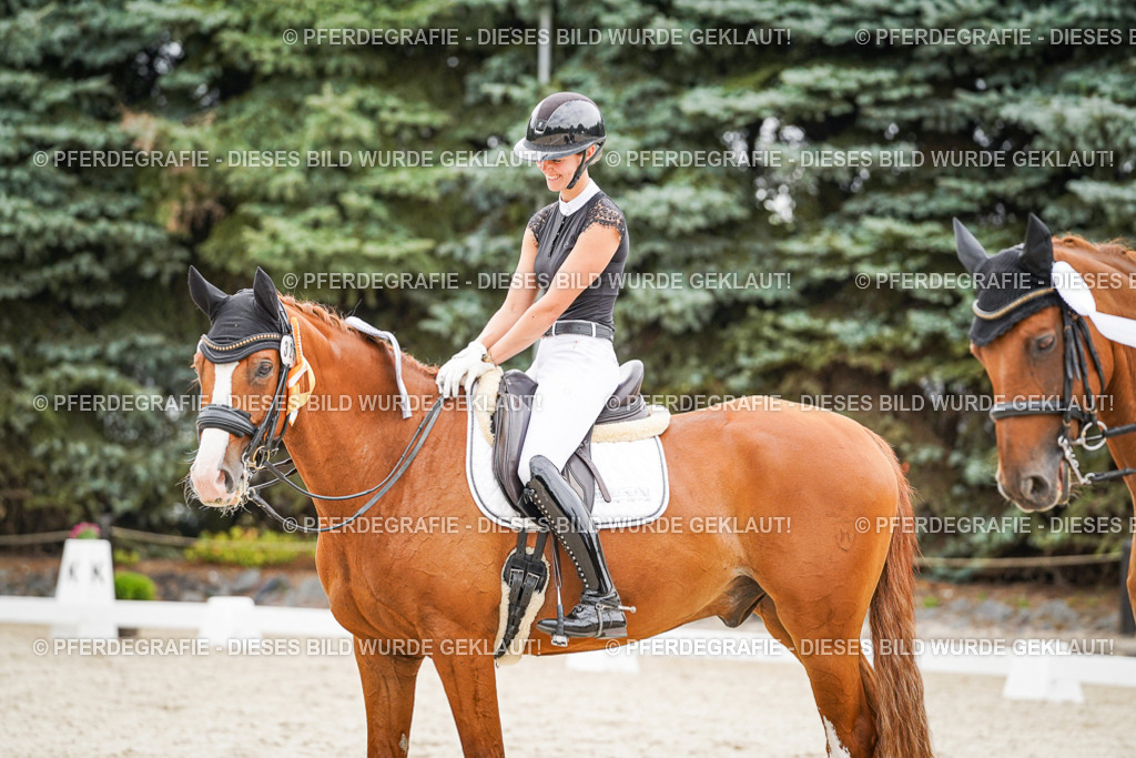 DSC08085 | Pferdegrafie