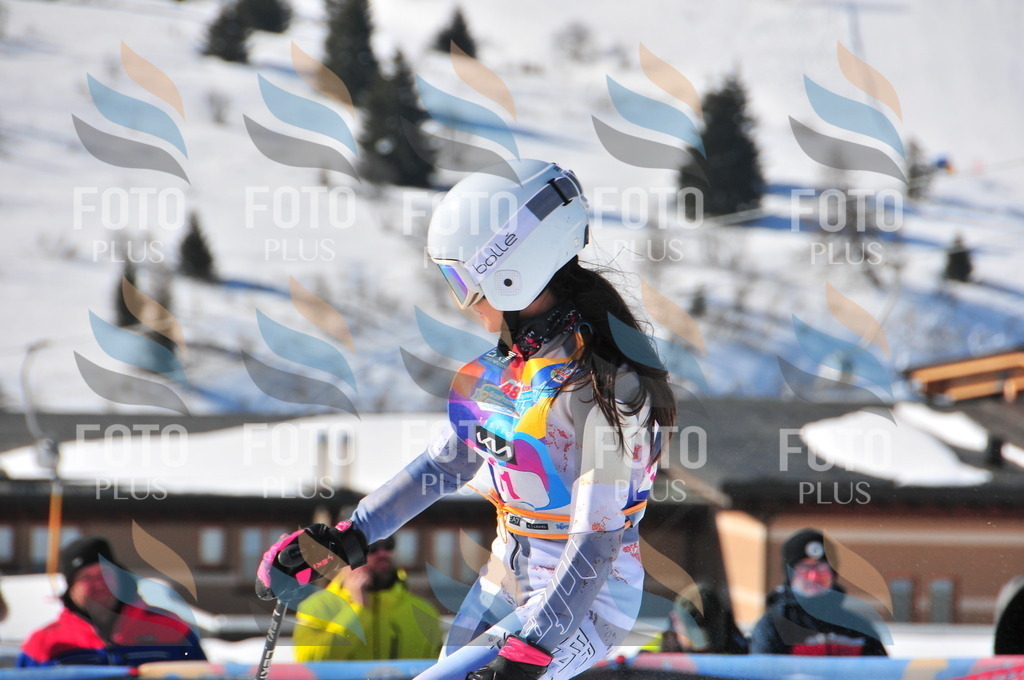 DSC_3944 | holidayphoto