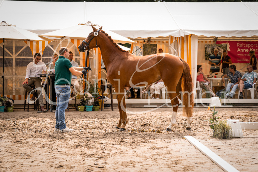 5.Fr00093 | Leoni Ertmer Photography - Realisiert mit Pictrs.com