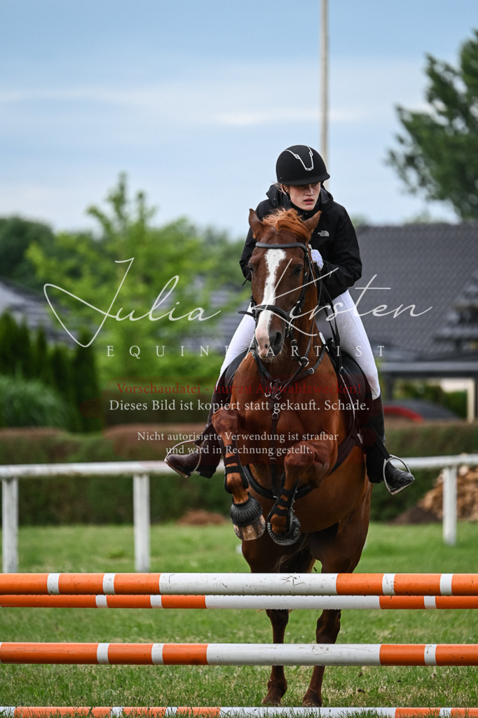 DSC_8371 | Pferde- und Turnierfotografie in Westsachsen. Pferdeportraits, Auftragszeichnungen und intuitive Kunst.