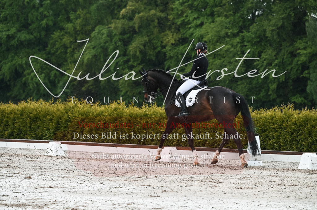 DSC_4334 | Pferde- und Turnierfotografie in Westsachsen. Pferdeportraits, Auftragszeichnungen und intuitive Kunst.