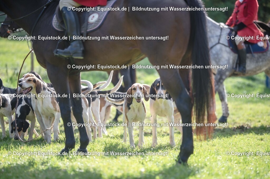 20251011_Jagd-Marbach_0150 | Foto: Thomas Hartig